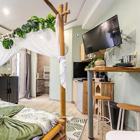 Appartement La Jungle Secrete Et Cinema En Plein Air Mulhouse